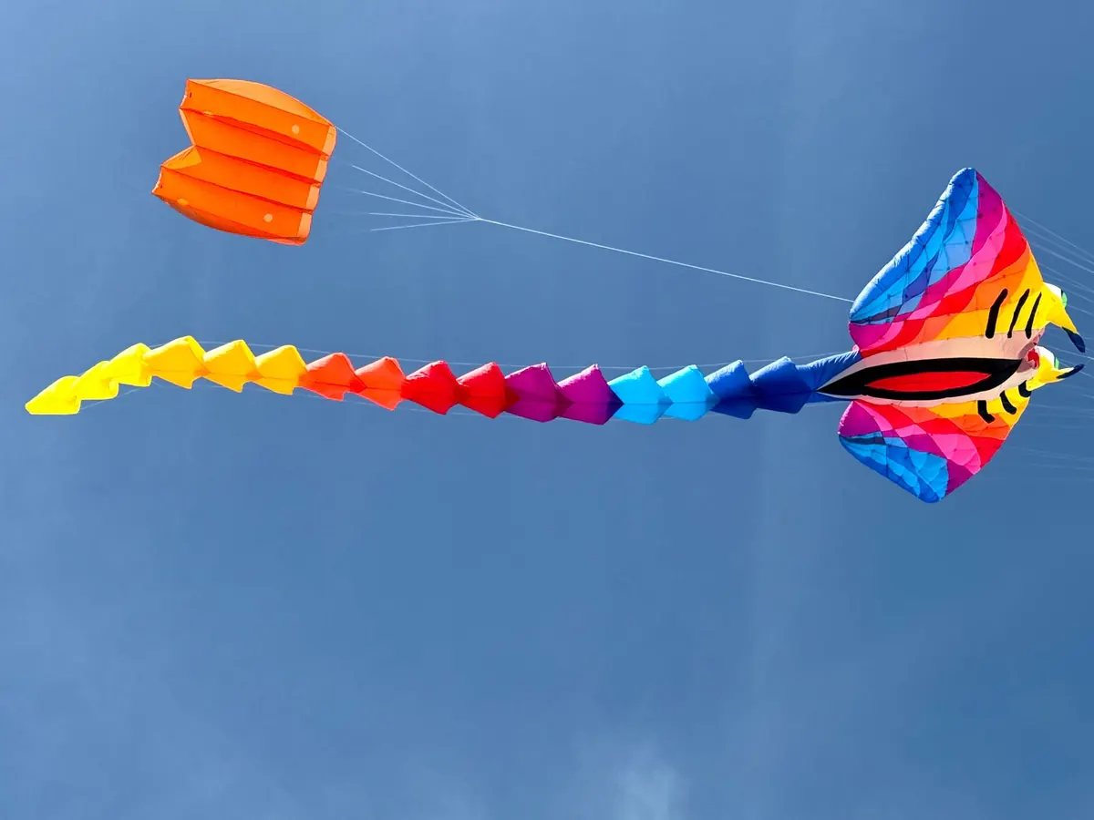 Budget vs Premium Dual-Line Kites: What Do You Actually Get?
