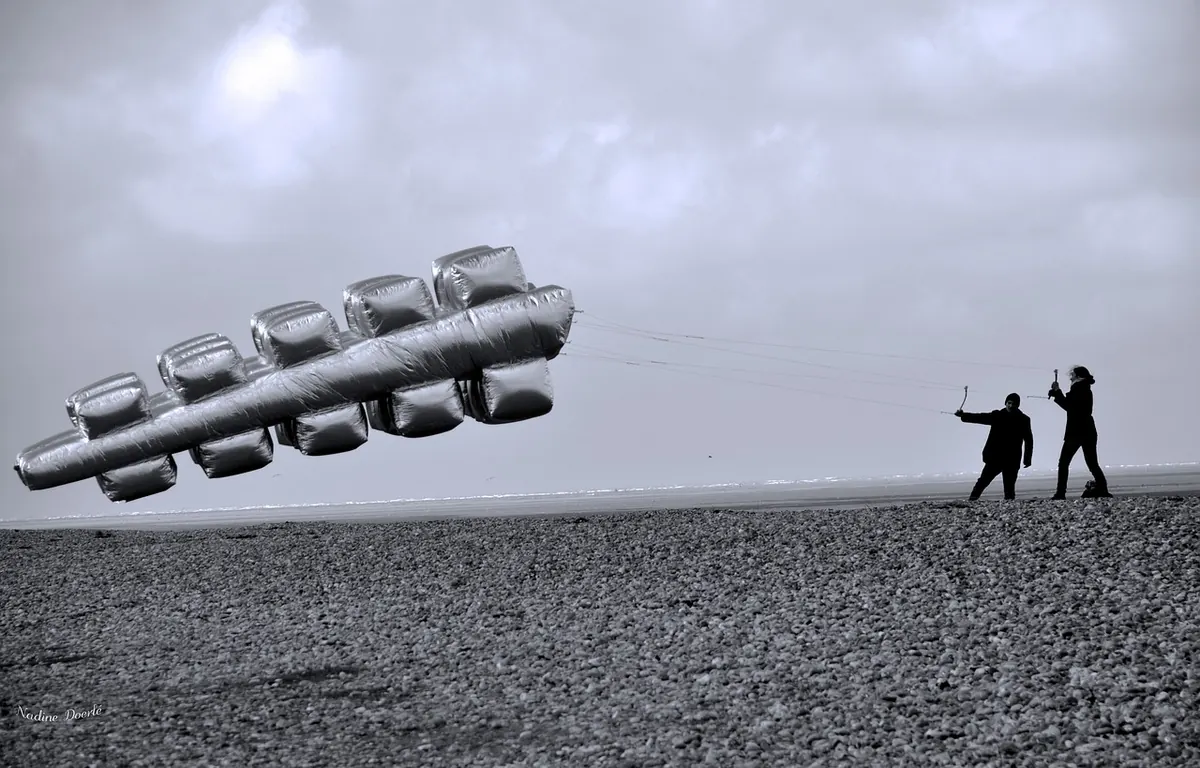 Kite Flying for Beginners: Your First 10 Steps to Launch, Fly and Land Safely